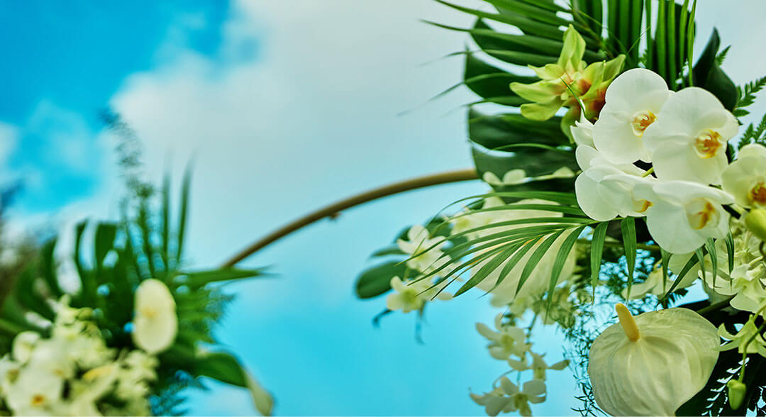 image:FLOWER ARRANGEMENT